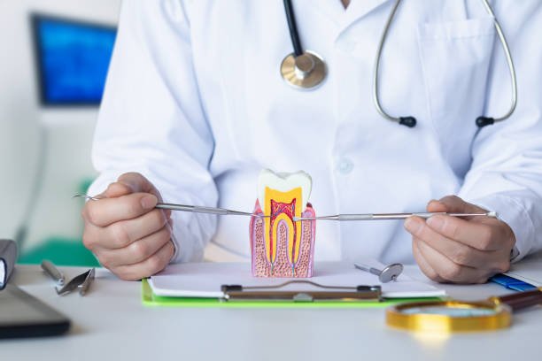 Best Emergency Dentist Near Me  in Prieville, NC
